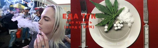 дмт Дмитровск