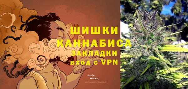 дживик Дмитриев