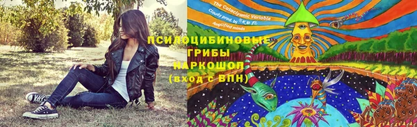 дживик Дмитриев