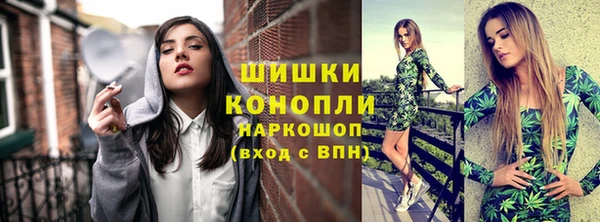 дмт Дмитровск