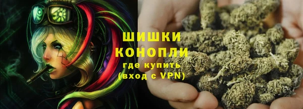 ГАЛЛЮЦИНОГЕННЫЕ ГРИБЫ Дмитров