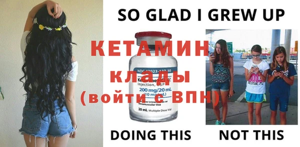 дмт Дмитровск